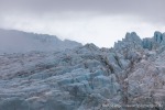 230812c_Rijpbreen_011_D