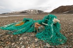 230813a_Vindbukta_23_D
