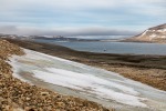 230813d_Zorgdragerfjord_16_D