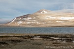 230813d_Zorgdragerfjord_22_D