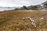 230814a_Nordre-Repoya_011_D