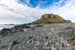 230814b_Karl-XII-oya_008_D