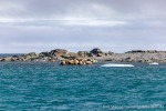 230815c_Norvargodden_10_D