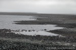 230815c_Norvargodden_50_D