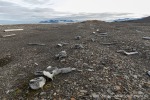 230819b_Haketangen_01_D