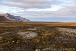 230819b_Haketangen_12_D