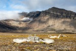230820a_Grunnvaagen_226_D
