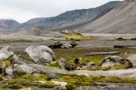 230821f_Gaashamna_024_D