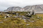 230821f_Gaashamna_070_D