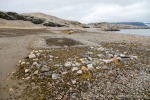230821f_Gaashamna_190_D