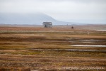 230823a_Erdmannflya_054_D