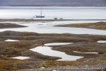 230823a_Erdmannflya_156_D