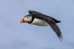 230823c_Isfjord_01_D