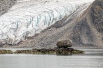 230829b_Fuglefjord_103_D