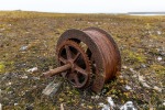 230905a_Ebeltofthamna_28_D