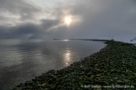 230920a_Danskeneset_114_D