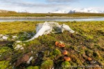 230912a_Dunoyane_69_D
