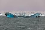 230914a_Negribreen_007_D