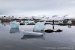 230921c_Innerholmen_061_D