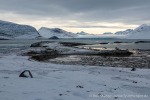 230921c_Innerholmen_083_D