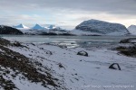 230921c_Innerholmen_084_D