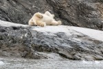 230807a_Nordenskioldbreen_031_D