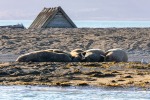 230808d_Poolepynten_003_D