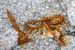 230811a_Kapp-Rubin_014_D
