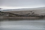 230811d_Sabinebukta_08_D