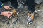 230812a_Sabinebreen_003_D