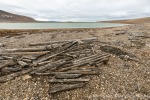 230813b_Torskevatnet_16_D