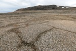 230813c_Torskevatnetdalen_04_D