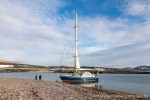 230813g_Reliktbukta_47_D