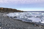 230814b_Karl-XII-oya_024_D