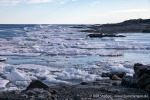 230814b_Karl-XII-oya_037_D