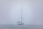 230815c_Norvargodden_72_D