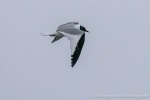 230815d_Ymerhytte_007_D