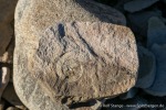 230817a_Von-Otteroya_31_D