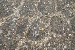 230818b_Binnebukta_050_D