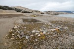 230821f_Gaashamna_190_D