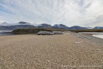 230822c_Ahlstrandhalvoya_39_D