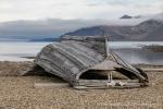 230822c_Ahlstrandhalvoya_41_D
