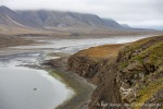 230823a_Erdmannflya_058_D