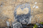 230823a_Erdmannflya_160_D
