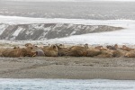 230916b_Ardneset_08_D