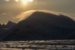 230920a_Danskeneset_041_D