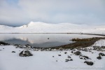 230920a_Danskeneset_046_D