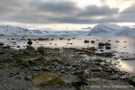 230920a_Danskeneset_065_D