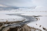 230920a_Danskeneset_093_D