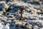 230922a_Eidembukta_099_D